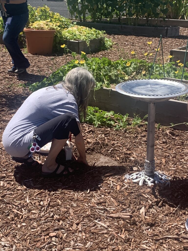 A person with long hair bends down to dig in a garden, surrounded by plants and mulch.